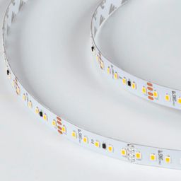 Светодиодная лента PRO 2835, теплый белый, SWG2P120-CC-24-9.6-WW