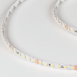 Светодиодная лента холодное белое свечение IP33, DSG3120-24-W-33
