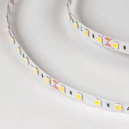Светодиодная лента LUX, 5050, 60 LED/м, 14,4 Вт/м, 24В, IP33, Холодный белый (6000K), DSG560-24-W-33